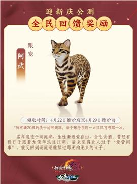 仿奇迹天龙八部私服